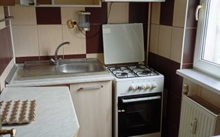 GARSONIERĂ DE VÂNZARE – CAPĂT 1, TIBERIU CRUDU - Poză 2