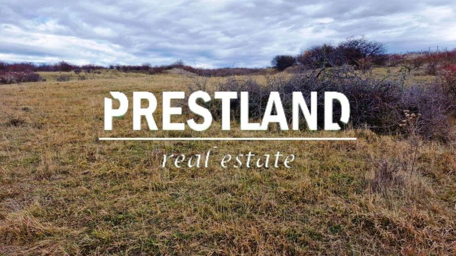 Teren extravilan situat în zona Bavaria!! - Poză 4