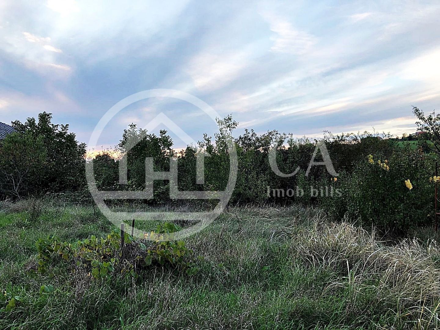 Teren intravilan de vânzare pe strada Beldiceanu, Bihor - Poză 4