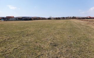 8.600 mp-Șura Mică-20 Euro-mp. - Poză 3