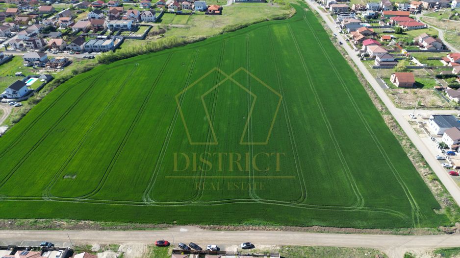 PUZ pentru servicii 7540mp | Dumbravita - Poză 4