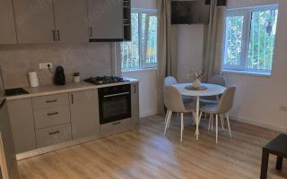 Închiriez garsonieră, Unirii, individuală, centrală proprie - Poză 2