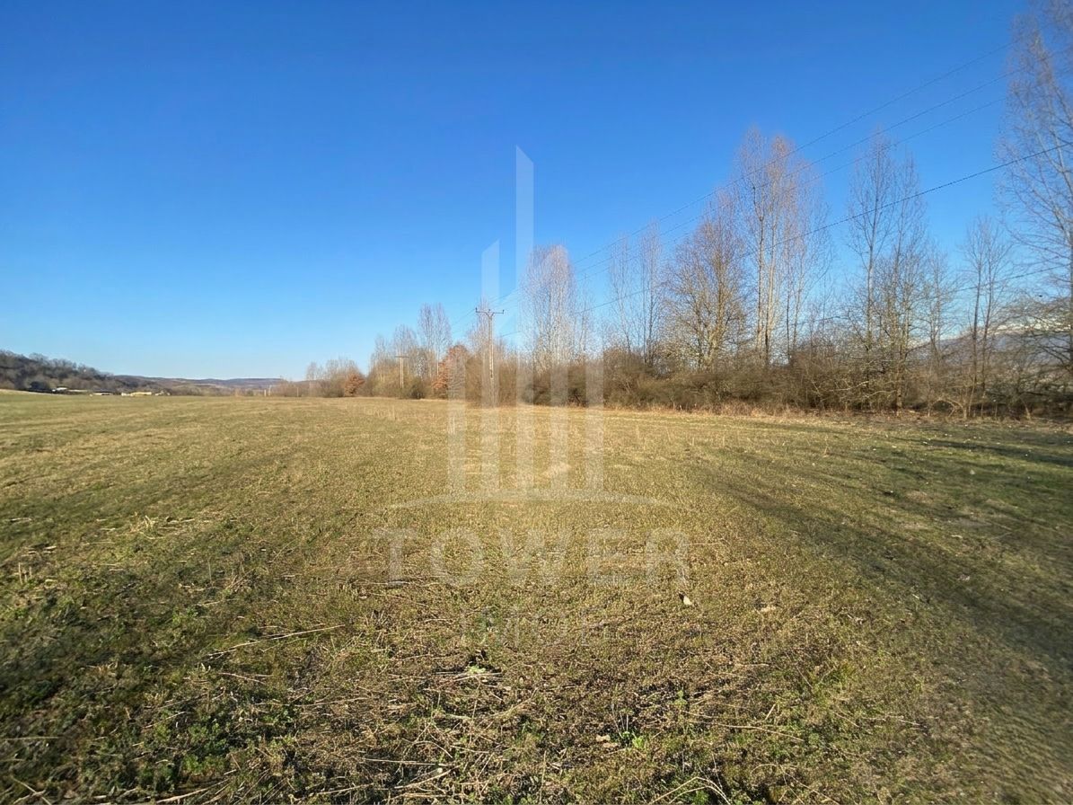 Teren de 7.500 mp de vânzare în Bradu, Avrig-COMISION 0% – lângă râul Olt. - Poză 7