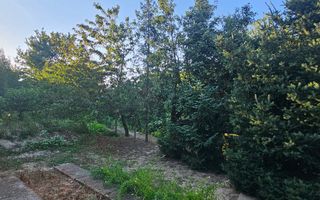 Casă / Vilă cu 8 camere de vânzare în Lapus, Craiova - Poză 7