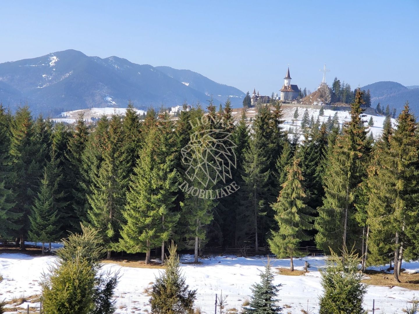 Teren intravilan 900 mp si 1102 mp-ideal cabana-Piatra Fantanele - Poză 2
