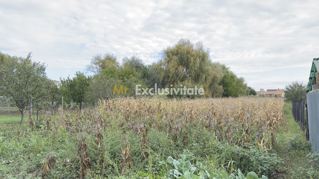 Casă 3 camere, Teren 3.263 mp, Str.Mărășești Nr.16 -Carei-Comision 0% cumpărător - Poză 21