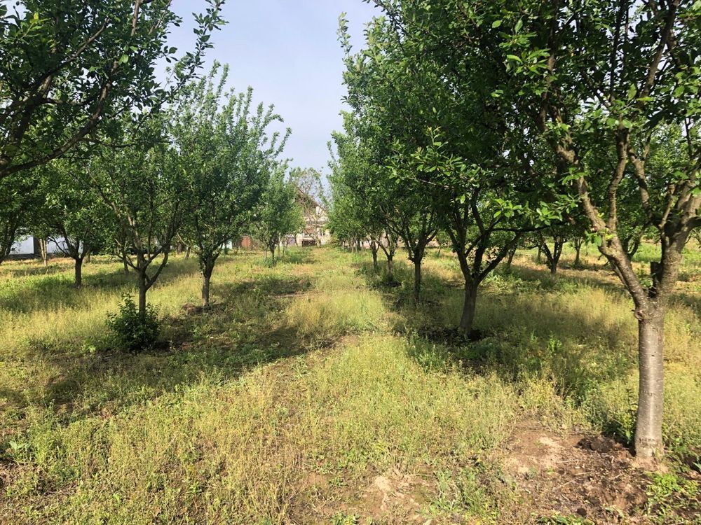 Casa de vanzare in loc. Crucisor - Poză 6