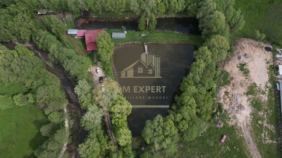 CASA 3 CAMERE, TEREN 6200 MP + 2 LACURI, CAMPULUNG, NAMAIESTI - Poză 32