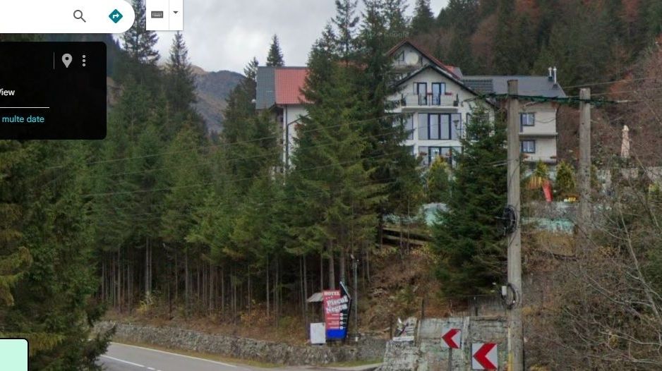 TEREN EXTRAVILAN PADURE PISCUL NEGRU ARGES - Poză 5