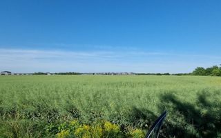 Ferma de Cultura Mare 1100 HA - Poză 7