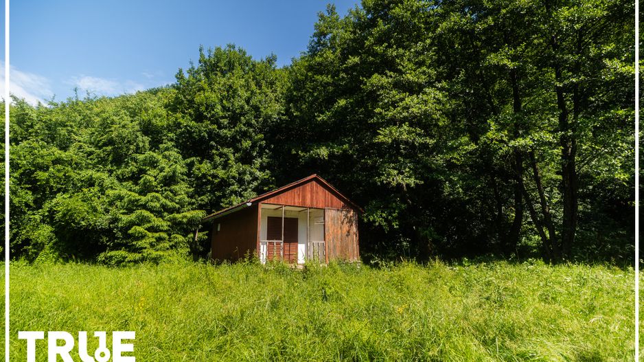 Teren intravilan 2.800 m² în Câmpu Cetății – liniște și natură - Poză 7