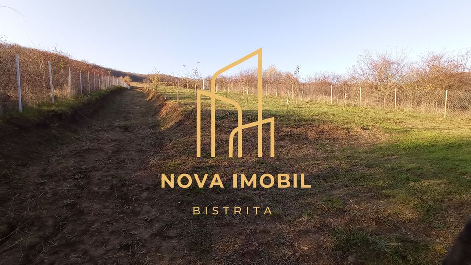 Teren Viisoara 27 ari - Poză 6