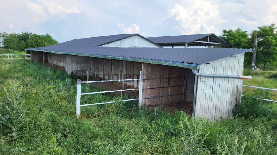 FERMA ZOOTEHNICA DE VANZARE - Poză 7