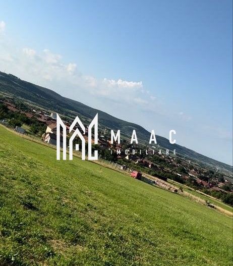 Teren Extravilan I 2000 mp I Orlat - Poză 3