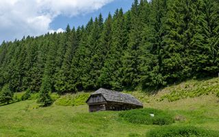 Pretabil Hotel,Pensiune,Case de Vacanta/Utilitati/PUZ - Poză 7