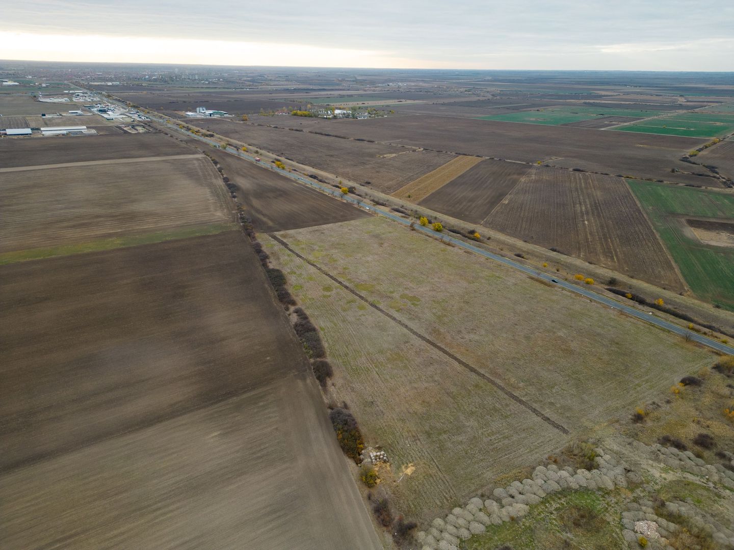 Teren 22.500 mp – Pecica, jud. Arad - Poză 2