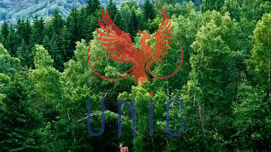 18000 mp de natura pura ,Lupeni, langa Straja - Poză 9