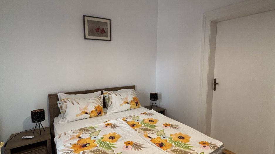 Vilă de închiriat zona Parvan - Poză 21