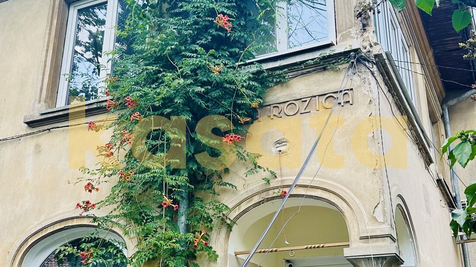 OPORTUNITATE | VILA CU TRADITIE | DOMENII | POZITIE EXCELENTA - Poză 1