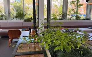 Commercial space | Restaurant | Terasa | Parking - Poză 7