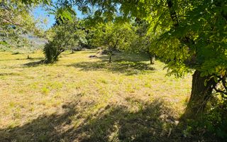 TEREN INTRAVILAN 3234 MP LEREȘTI VOINEȘTI ARGEȘ - Poză 37