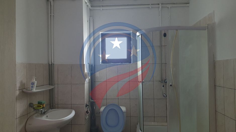 2 HALE de 357 mp si 474 mp  si teren intravilan de 5423 mp  Isalnita - Poză 8