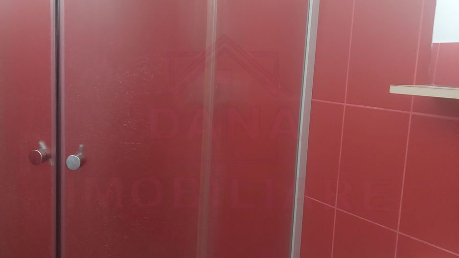 CASĂ PĂLTINIȘ\JUD. CARAȘ-SEVERIN\ COMISION 0% - Poză 13