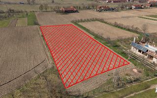 Loc de casă în Odvoș - Conop 3000mp - Poză 4