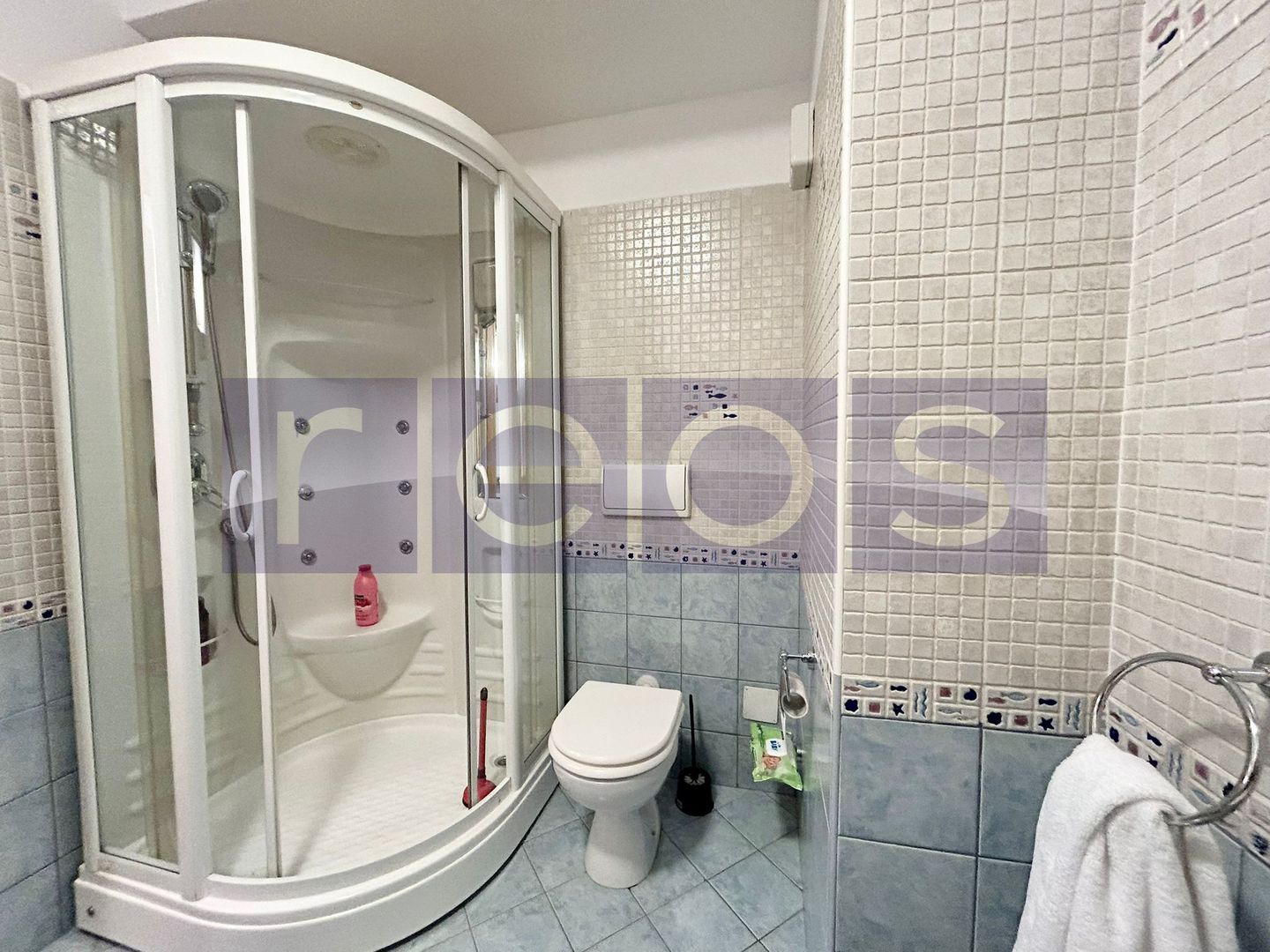 ÎNCHIRIERE 3 CAMERE | 160 MP | CARTIERUL FRANCEZ | GARAJ INDIVIDUAL | LUX - Poză 13