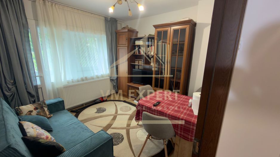 GARSONIERĂ TRANSFORMATĂ  APARTAMENT 2 CAMERE PARTER ZONĂ CENTRALĂ CAMPULUNG - Poză 17