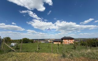 NECTORA IMOB-Teren Intravilan, Str. Piersicilor, 1165 mp, Utilitati - Poză 3