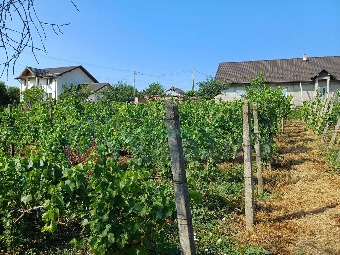 Casa de vinzare in comuna Bals (Iasi) - Poză 6
