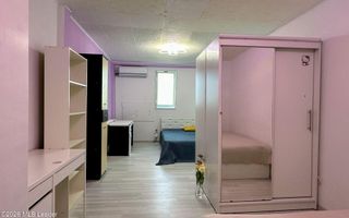 Fizicienilor - Lacramioarei, 3 camere 67 mp, pod 40 mp, modernizat - Poză 6