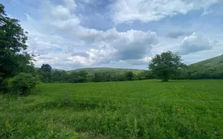 Domeniu 15.900 mp în Fințești | Casă + Investiție Dealu Mare - Poză 13