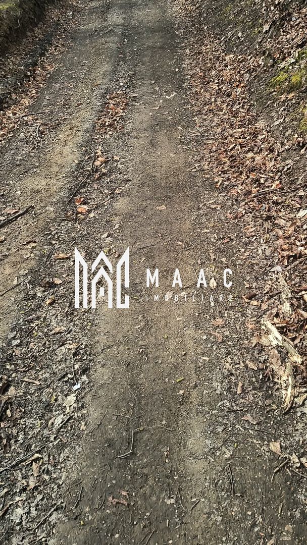 Un colt de rai in Apuseni I viața ca pe vremuri - Poză 3