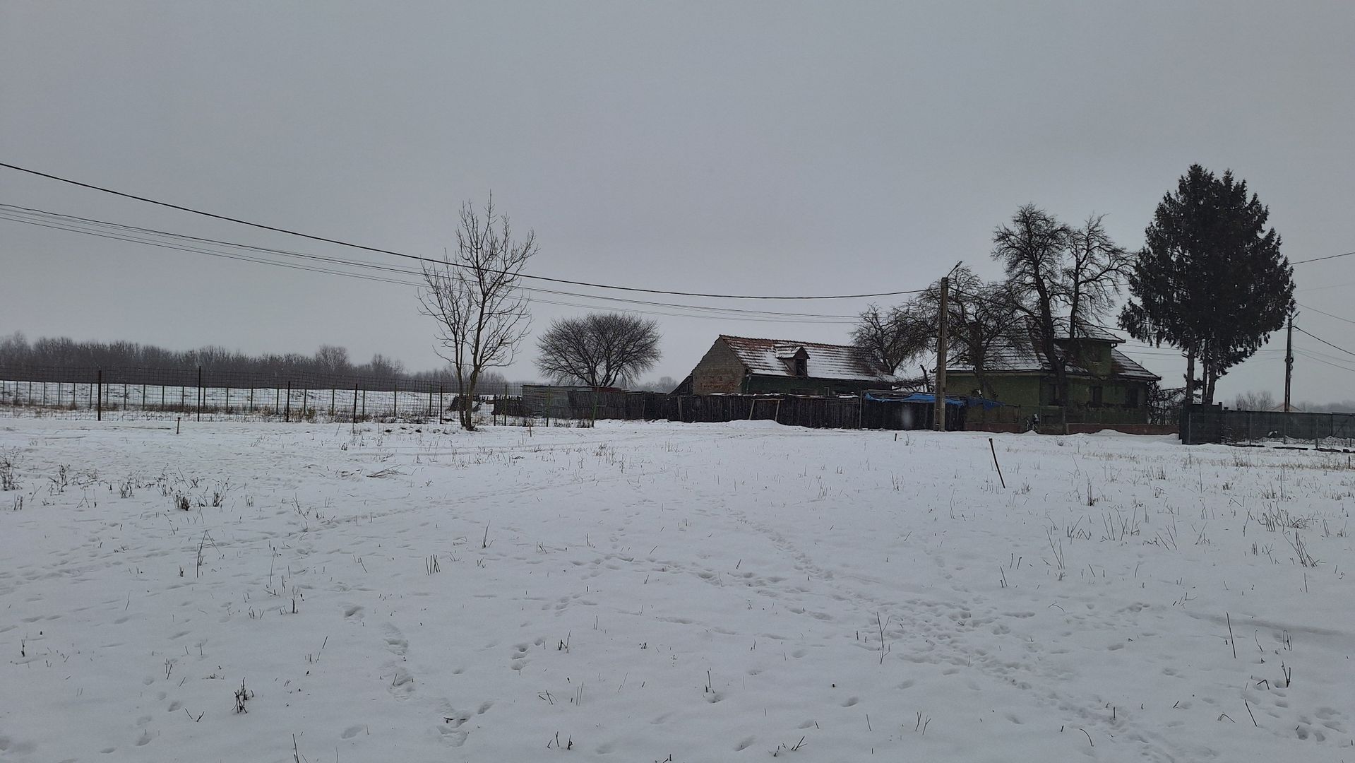 Teren 1000mp intravilan la liziera padurii, acces din drum asfaltat. - Poză 8