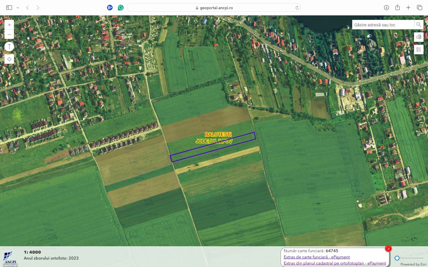 Teren intravilan cu destinatie rezidentiala 7.458 mp Balotesti - Poză 9
