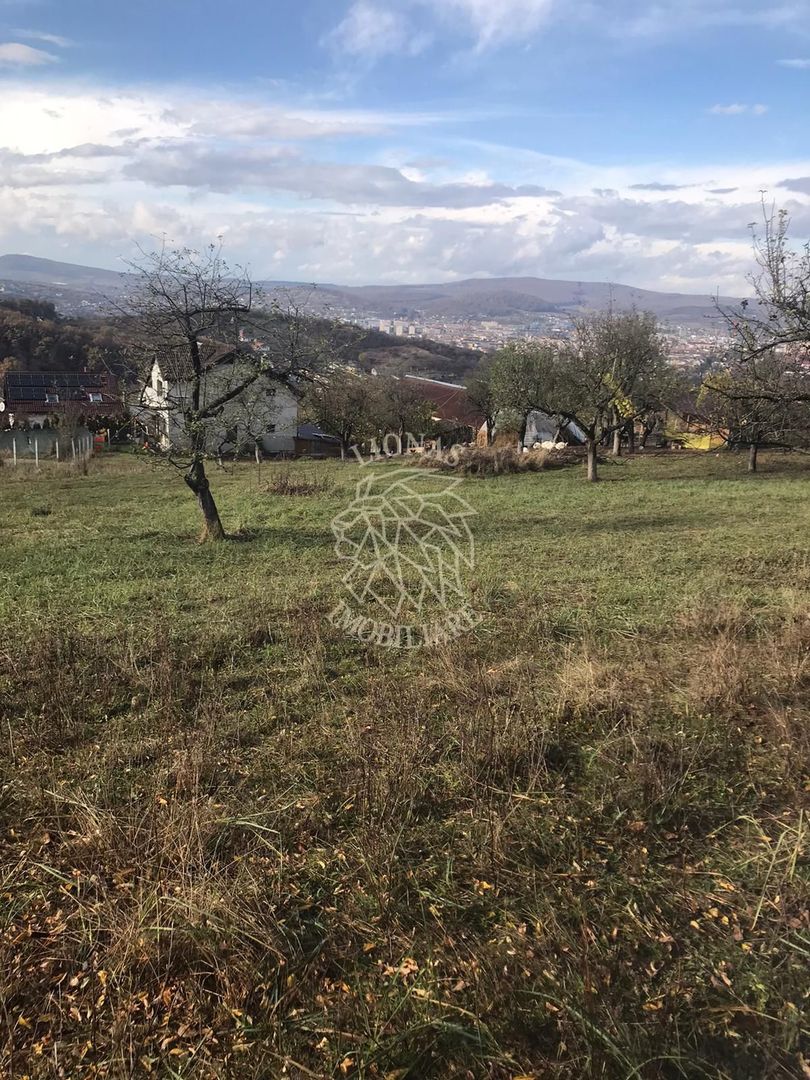 Teren intravilan 3800 mp-pretabil case-parcelabil-Zona Cartier Raal - Poză 6