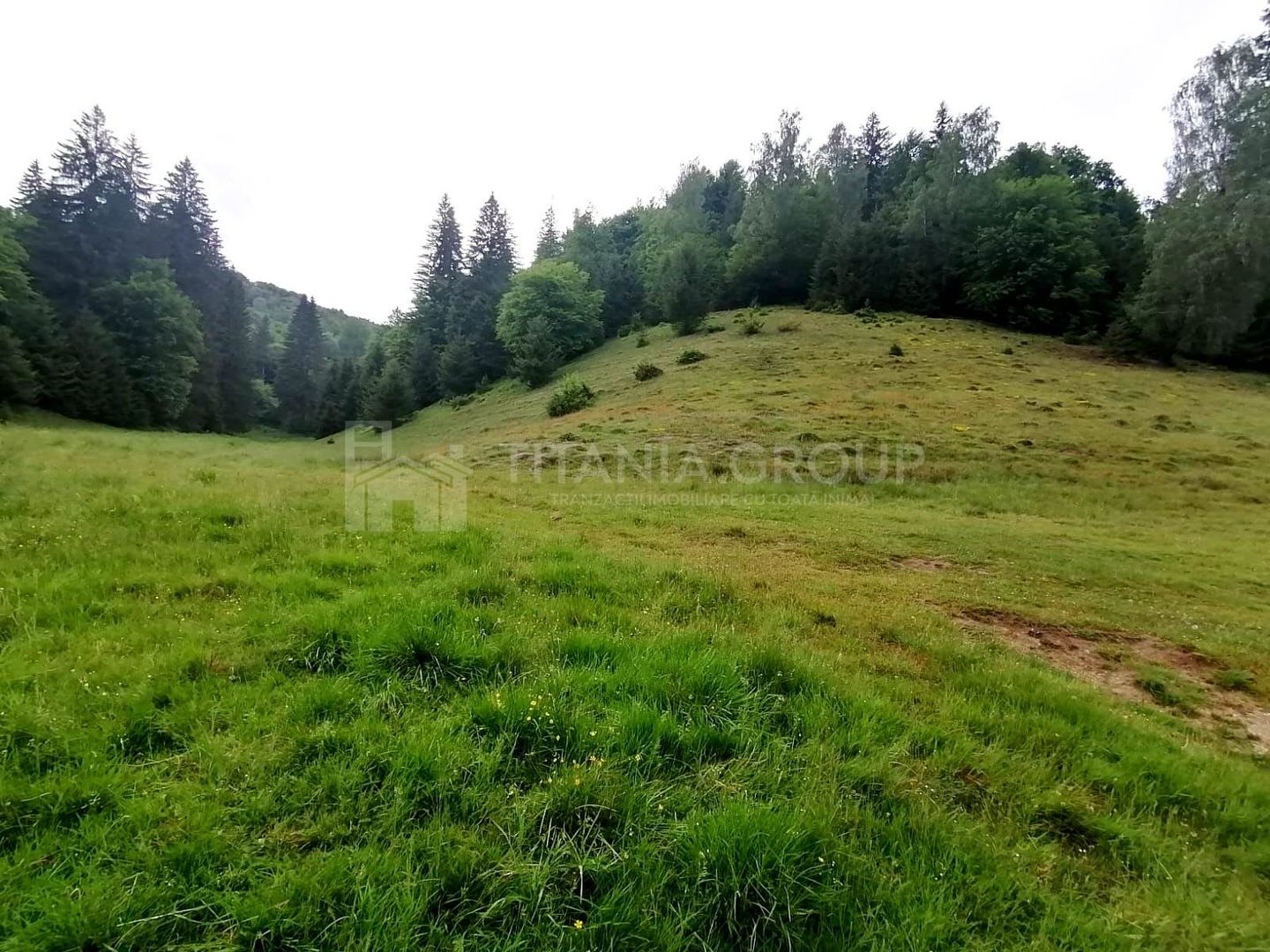Teren intravilan langa Poiana Brașov, 52 mp front strdal, Utilitati in zona - Poză 5