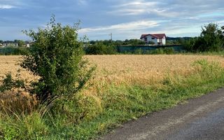 Teren de vanzare Silistea Snagovului | 10.000 mp | Oportunitate invest - Poză 7