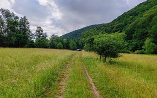 2,8 Ha Teren Extravilan cu Pârâu - Negreni, Cluj - Poză 2