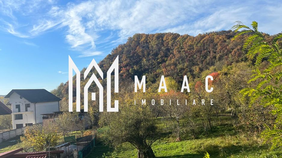 Teren | Vladesti | 1000 MP - Poză 1