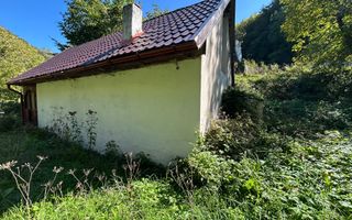 Cabana de vanzare, Valea Manastirii - Ramet - Poză 8