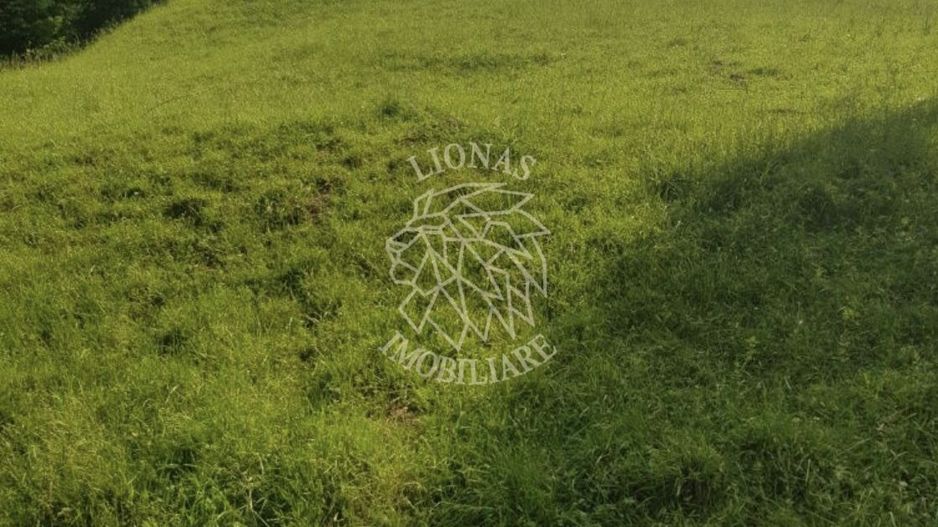 Teren 2,3ha si Padure 1ha-zona deosebita-Pasul Tihuta-EXCLUSIV - Poză 7