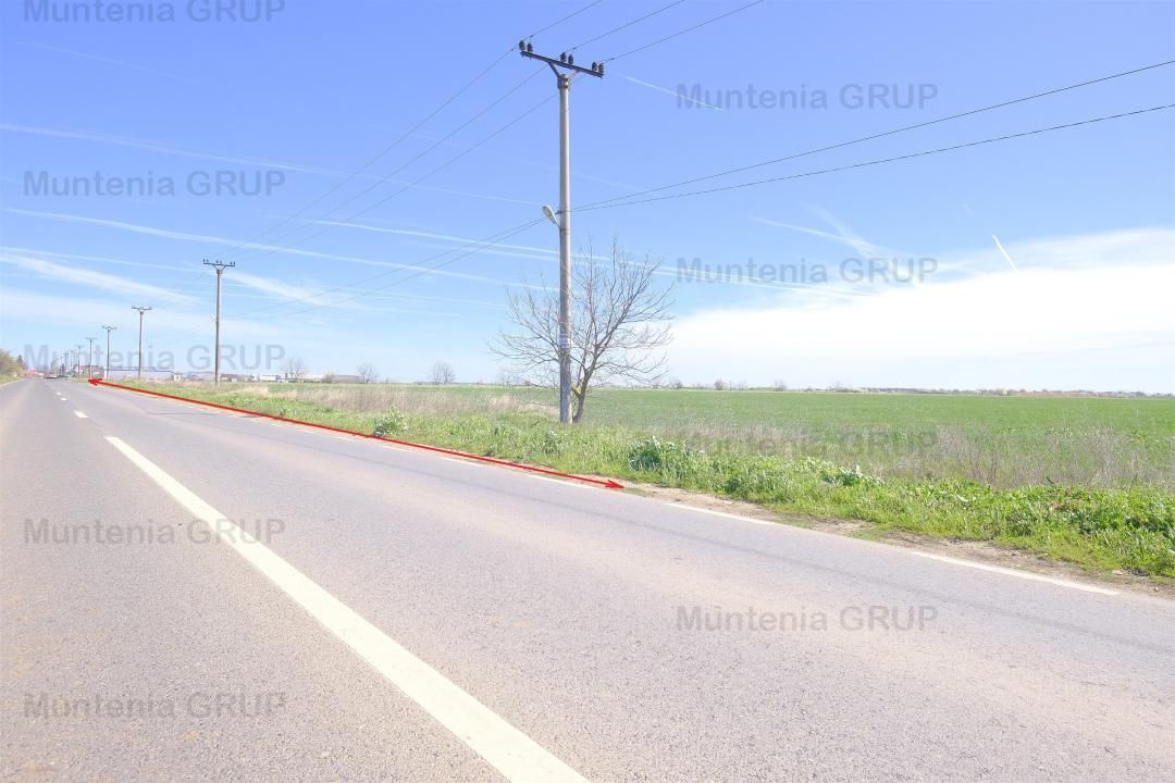 Dascalu, 119.000 mp. teren intravilan cu desch. de 180 m. la DJ 200 - Poză 3