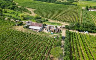 Vie Tradițională „Halta Lupilor” - Poză 47