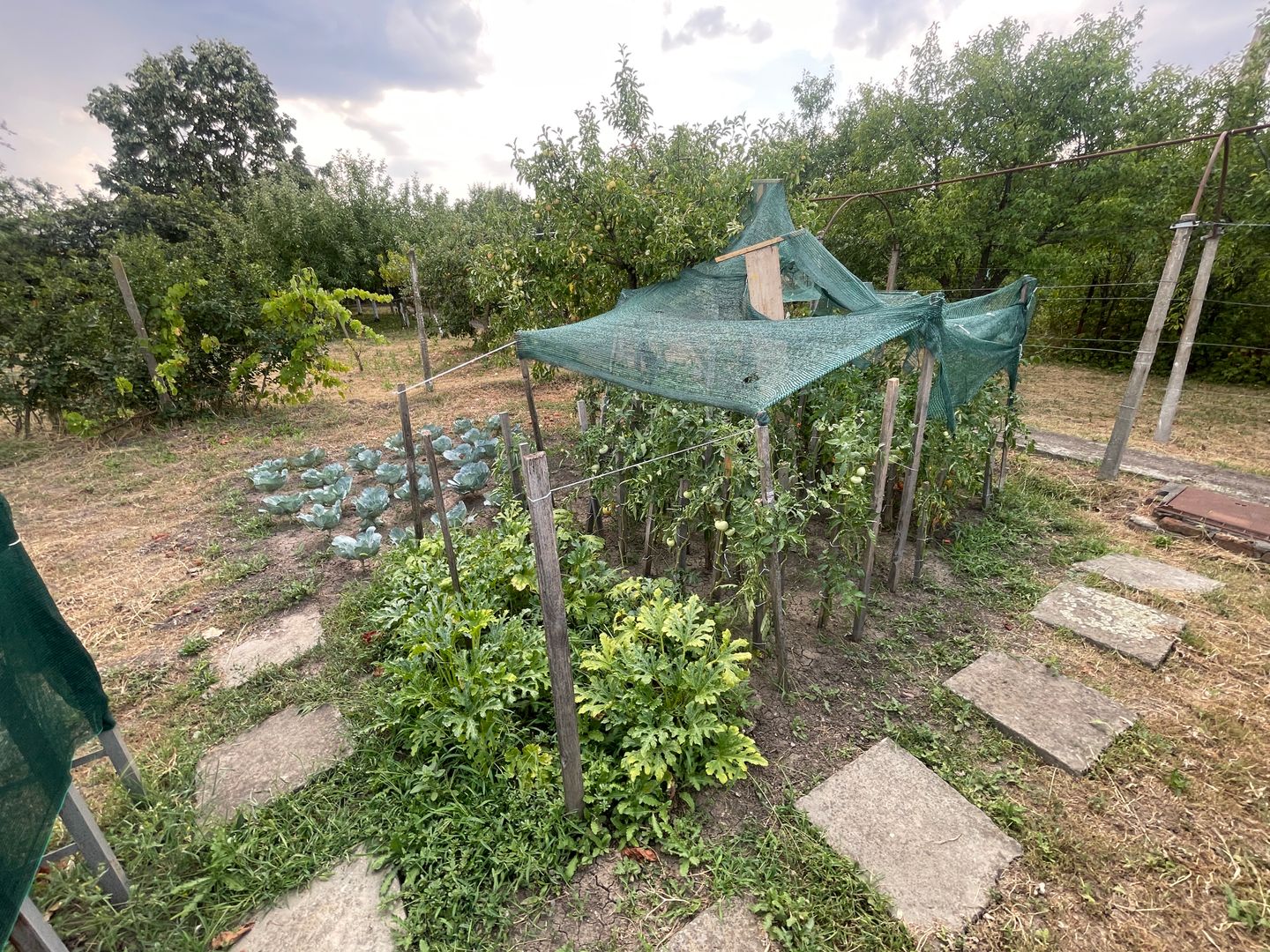 Casa | 9 camere | Garaj | Piscina | Teren 3.000 mp | Comision 0% - Poză 46