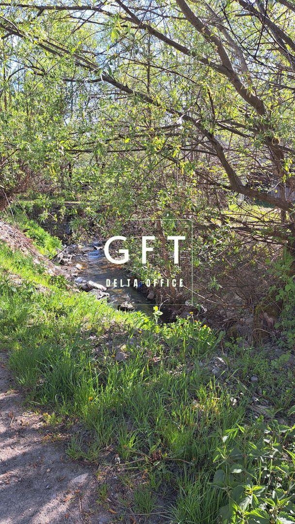 Teren extravilan de vanzare, Bistrita Bargaului- 10 minute de Colibita - Poză 13