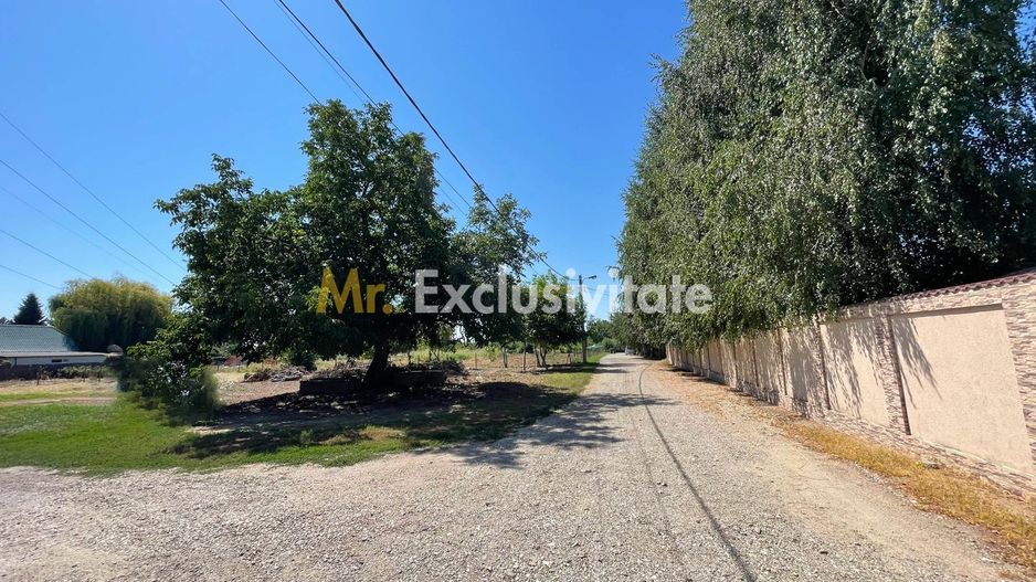 Teren intravilan | 2 deschideri | Ștefăneștii Noi – Str. Primăverii - Poză 2