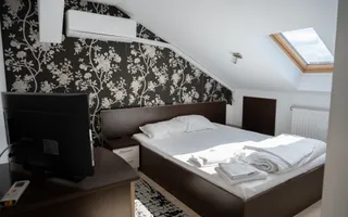 Afacere la Cheie în Turism | Pensiune  în Sânmartin - Poză 11